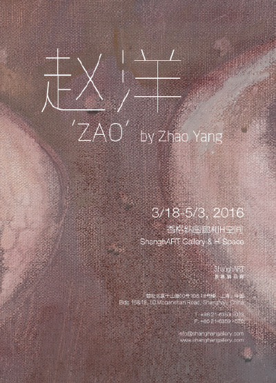 香格纳新展：赵洋的《赵洋》