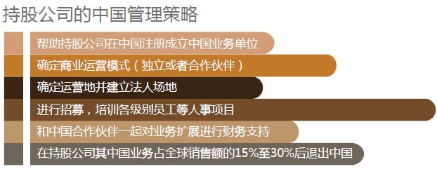 持股公司的中国管理策略